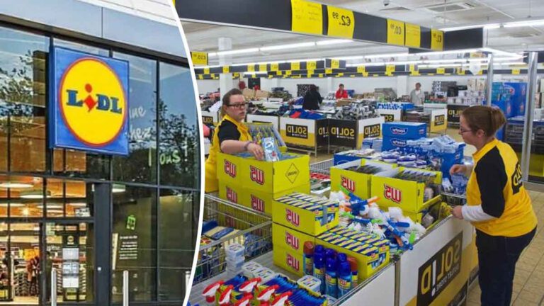 Lidl dévoile cet accessoire magique à moins de 10 euros qui peut cuire 4 pizzas en même temps