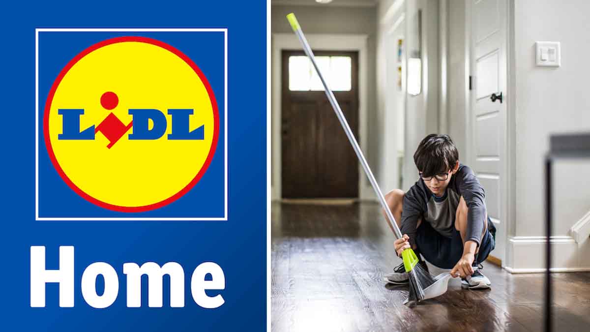 Lidl dévoile cet appareil indispensable pour bien nettoyer son intérieur qui va changer votre quotidien