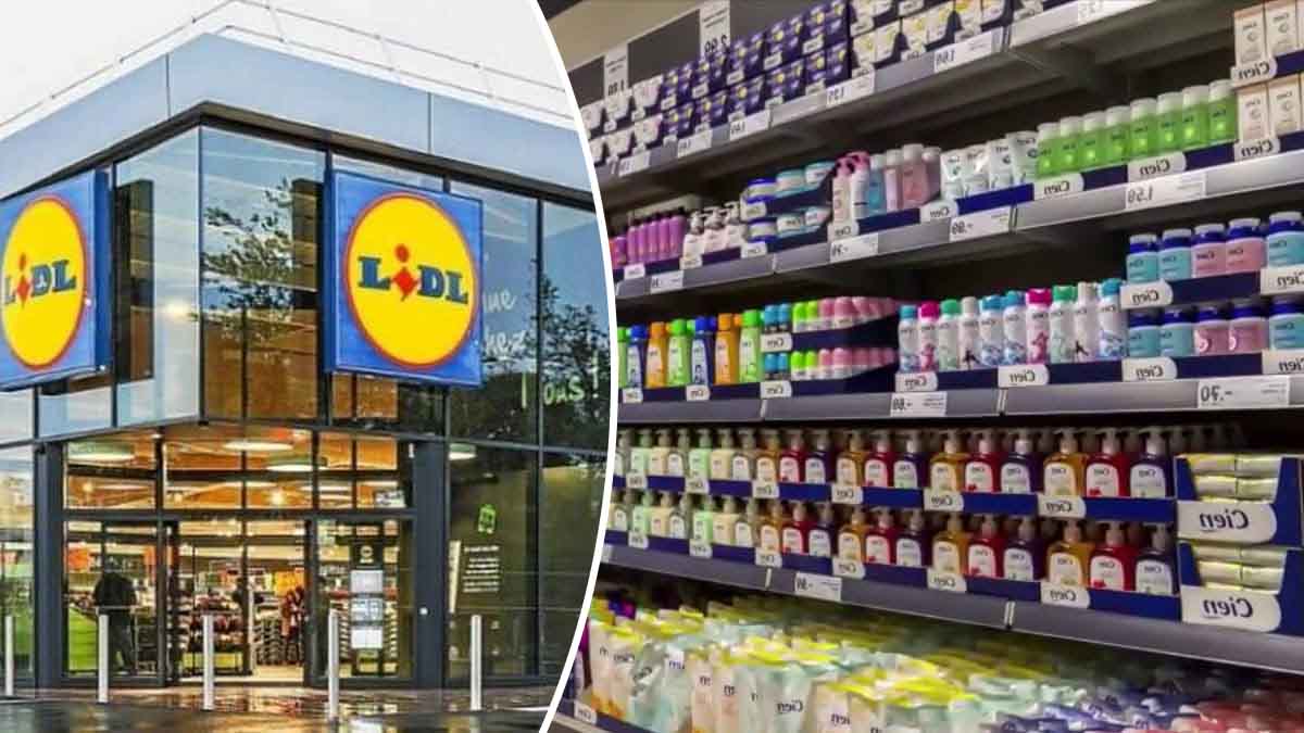 Lidl lance un appareil électroménager portable et fait un énorme carton