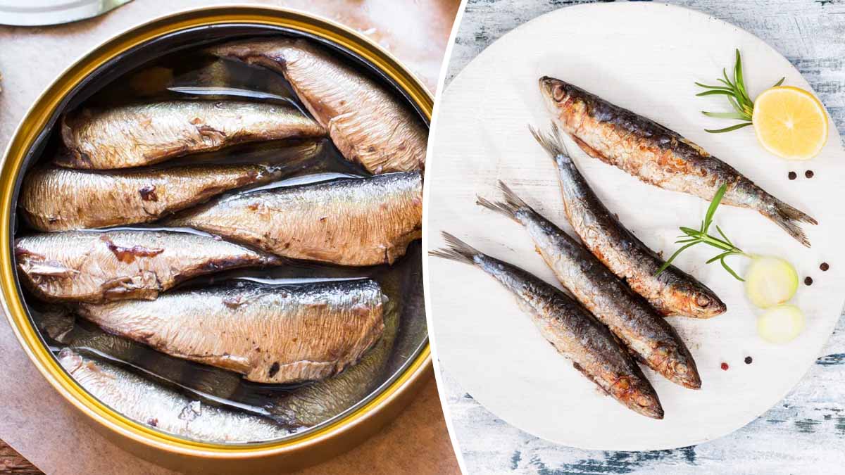 Découvrez les bienfaits de la sardine sur notre organisme