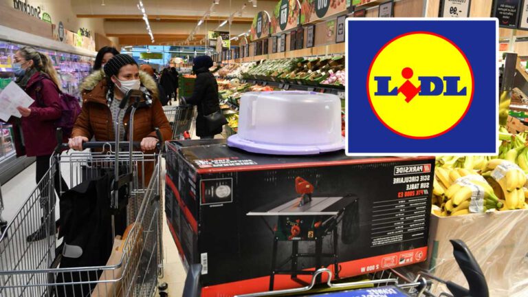 Lidl frappe fort et métamorphose vos toilettes maison en une vraie œuvre d’art !