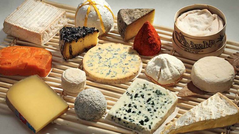 Perte du poids  Voici les fromages les moins caloriques à manger sans modération