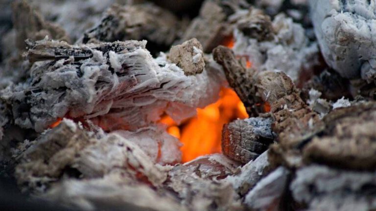 Cendres de bois de la cheminée 10 utilisations pratiques et inattendues à savoir