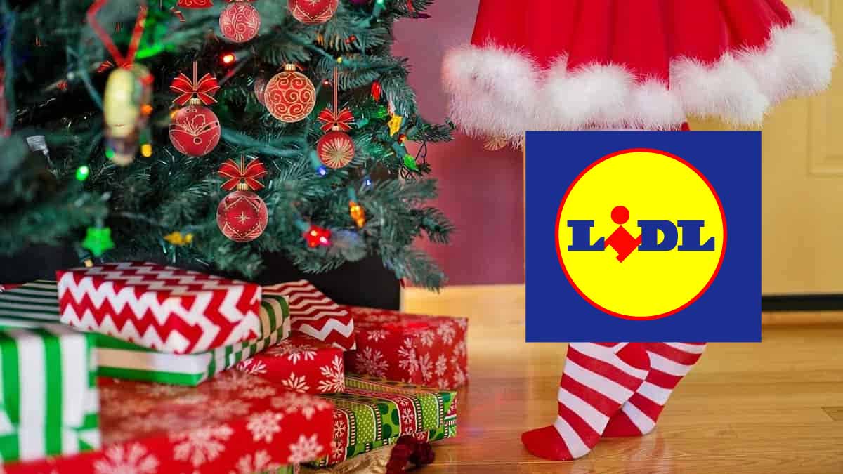 Lidl frappe fort pour Noël  Ces 3 idées cadeaux hyper canon pour cette fin d’année