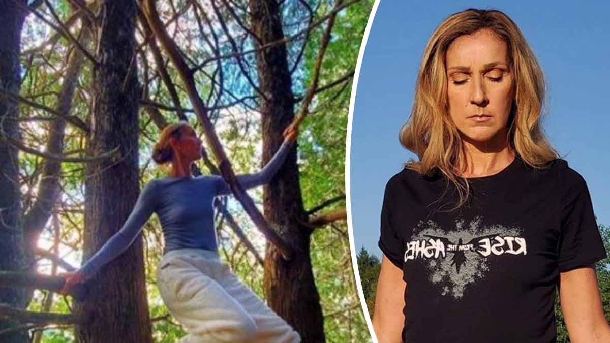 Céline Dion s’isole chez Garou, en pleine forêt, une piste évoquée