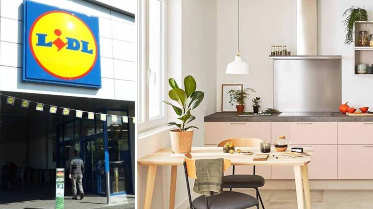 Lidl met le paquet  cet appareil révolutionnaire est indispensable pour votre cuisine