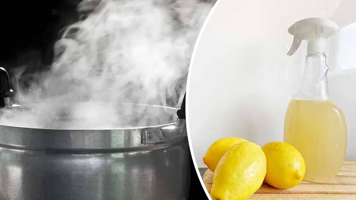 Découvrez comment désodoriser et parfumer toute la maison avec la méthode de la casserole