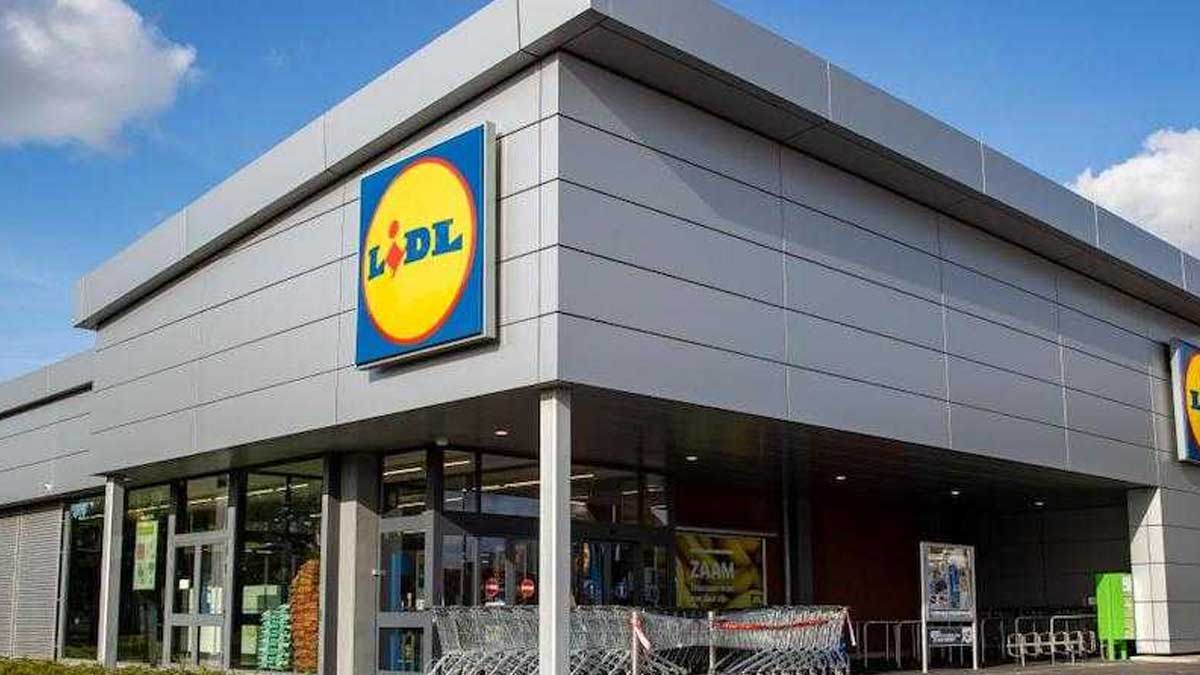 Lidl frappe fort avec cet appareil à moins de 30 € indispensable pour un intérieur nickel