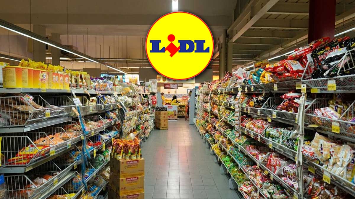 Lidl frappe fort avec cet appareil à moins de 30 € parfait pour un intérieur impeccable