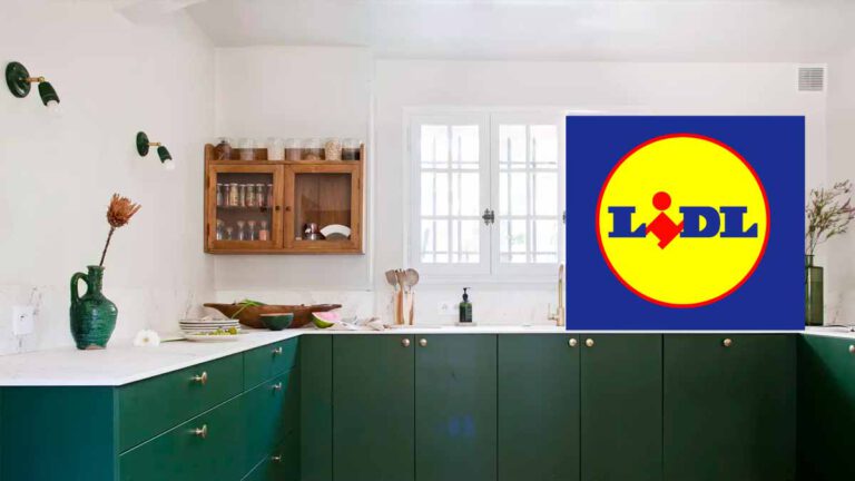 Lidl frappe fort  cet appareil indispensable à votre cuisine pour moins de 10 € fait fureur!