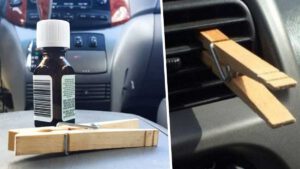 Une astuce magique pour parfumer la voiture et la maison naturellement