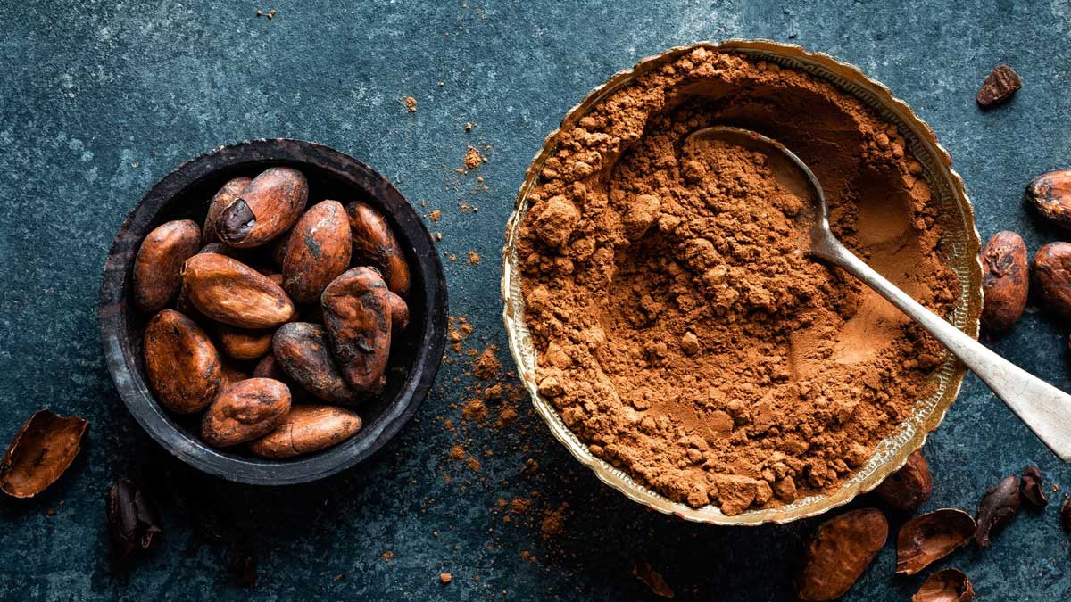 Découvrez les bienfaits du cacao sur la santé que vous ne savez peut-être pas encore