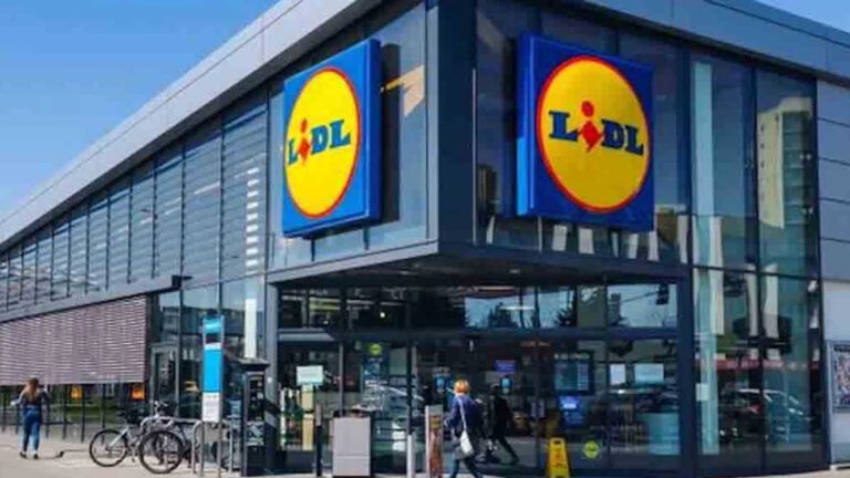 Lidl frappe très fort avec ce produit indispensable contre les moustiques à petit prix