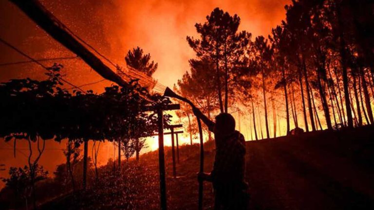 Incendies en France  un homme avoue être l’incendiaire, on sait pourquoi