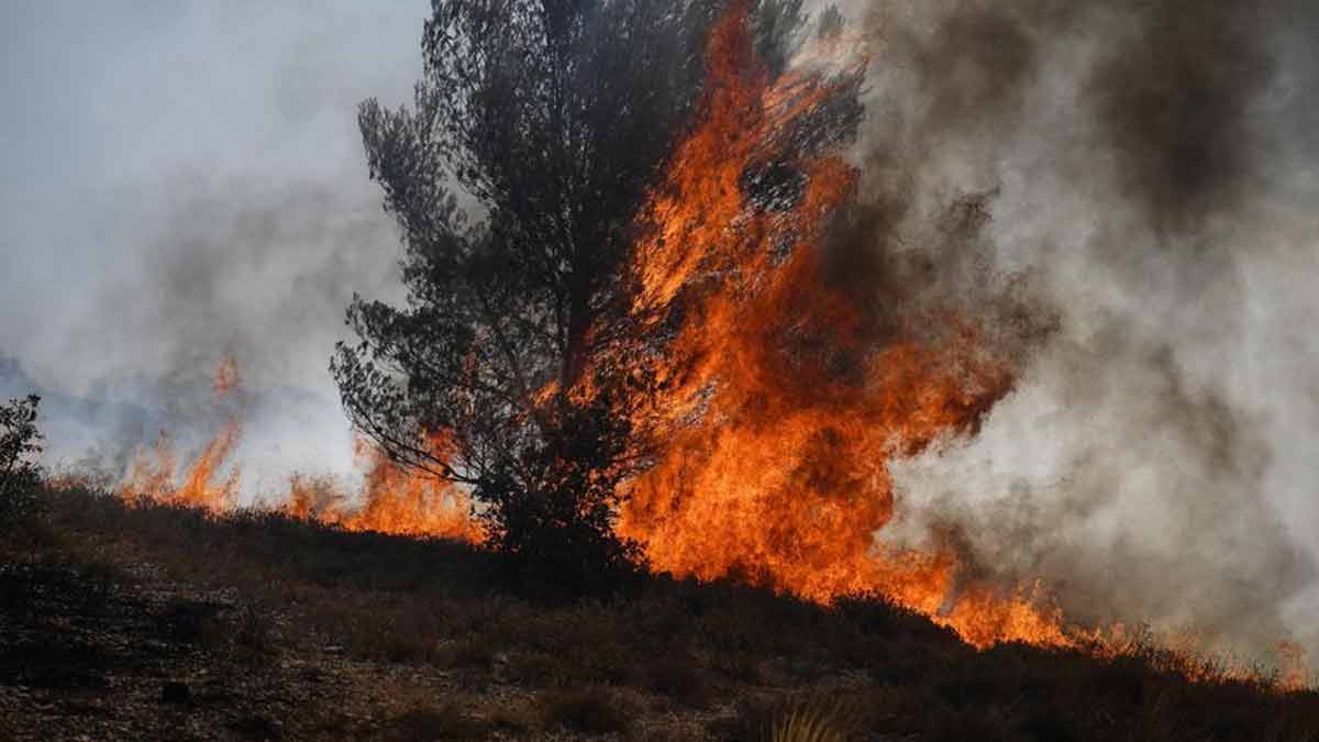 Incendies en France un homme vient de reconnaître être l’incendiaire, voici la raison