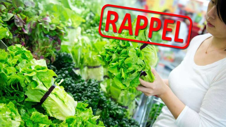 Rappel massif en France ne consommez surtout pas cette salade infectée dans ces supermarchés !