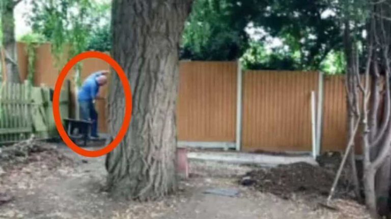 Un grand-père creuse son jardin et découvre un coffre vieux de 46 ans qui cache un lourd secret…