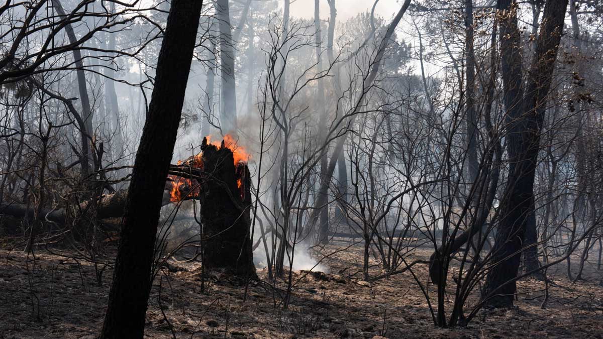 Vos vacances d’été sont gâchées à cause des incendies Découvrez quels sont vos droits