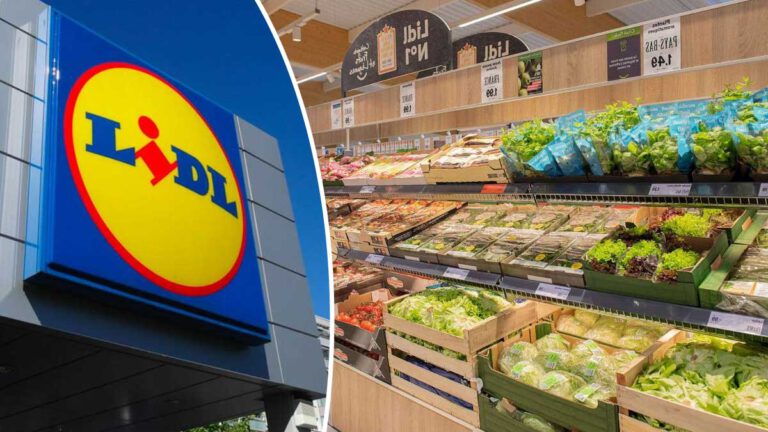 Lidl la célèbre entreprise épinglée pour publicité trompeuse et mensongère dans cette région !