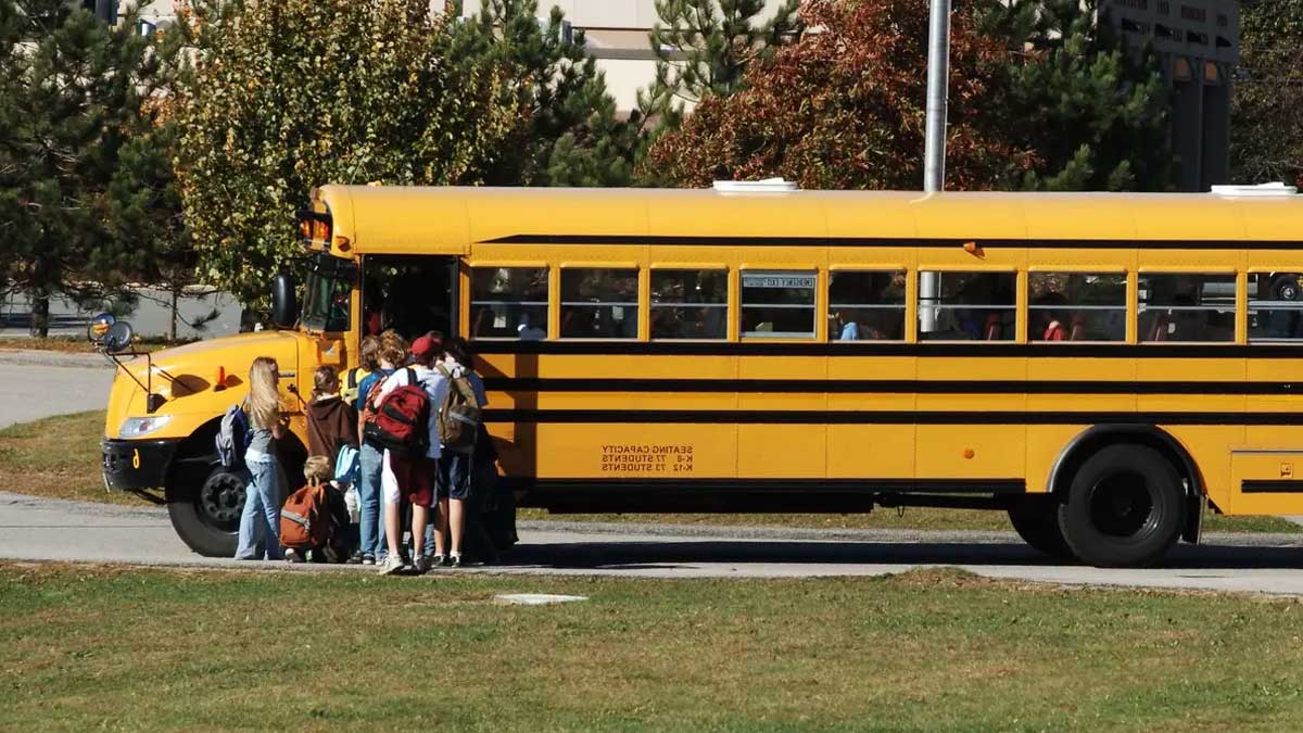 Rentrée scolaire : une pénurie de chauffeurs de bus ? Les parents furieux…