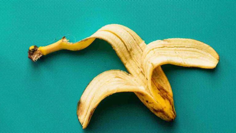 decouvrez les 7 utilisations miraculeuses et insoupconnees des peaux de bananes