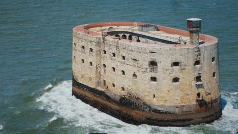 fort boyard les candidats sont ils reellement payes par la production