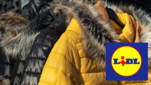 Lidl frappe très fort avec ses nouvelles doudounes pour faire face au froid de l’hiver !