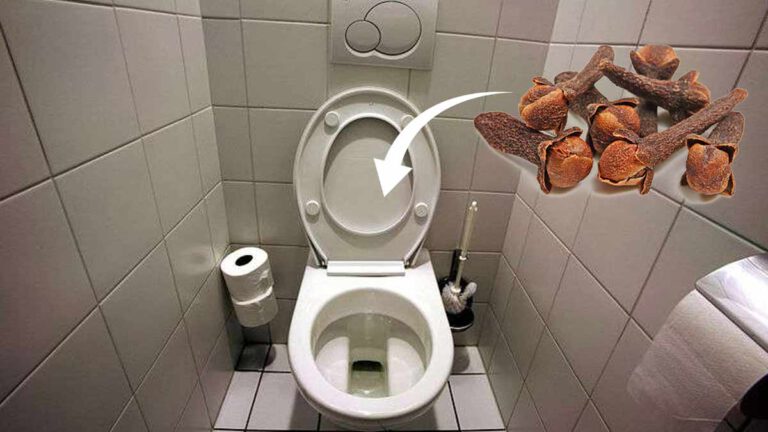 mettre clous girofles dans toilettes pour éliminer mauvaise odeur