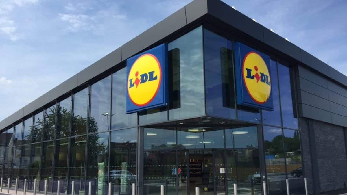 Coup dur pour les clients de Lidl la marque allemande n’est plus autorisée à vendre les lapins de pâques en chocolat, elle doit détruire tous ses stocks