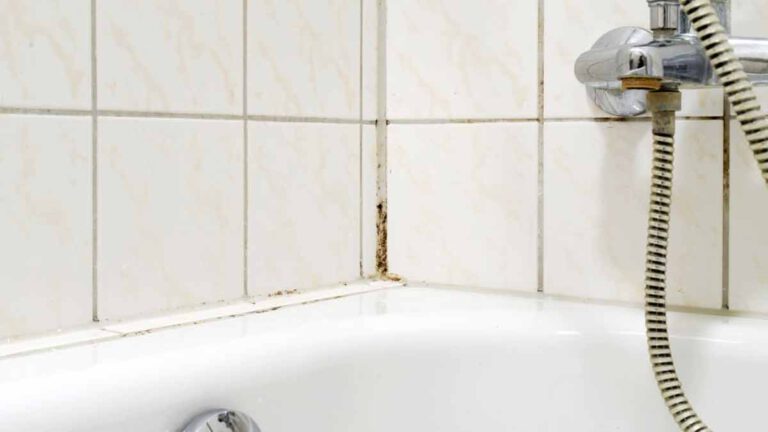 Éliminer la moisissure des joints de la douche sans user de javel, grâce à cette astuce naturelle