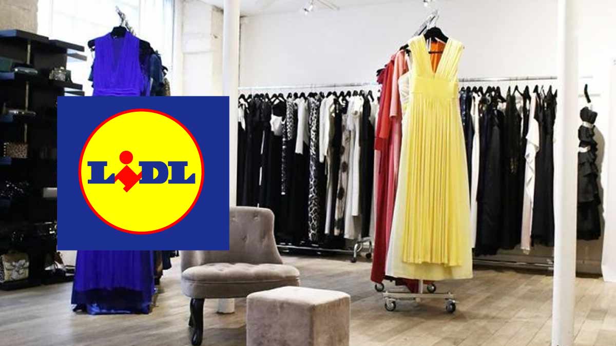 La folie chez Lidl cette magnifique robe à moins de 10€ fait craquer toutes les femmes