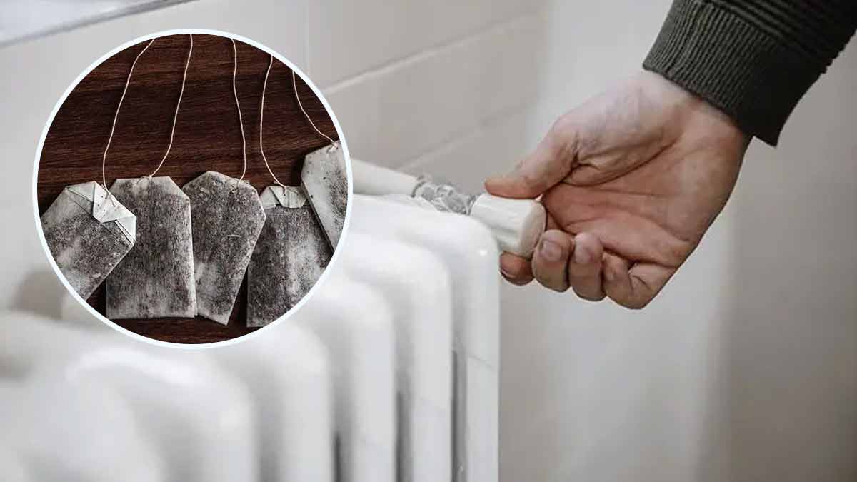 Pourquoi faut-il toujours placer des sachets de thé sur le radiateur L’astuce méconnue pour économiser