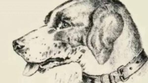 Pouvez-vous trouver un visage humain dans ce croquis d'illusion d'optique d'un chien