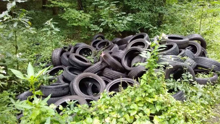 Rambouillet pourquoi y-a-t-il des centaines d'anciens pneus le long de la RN 10