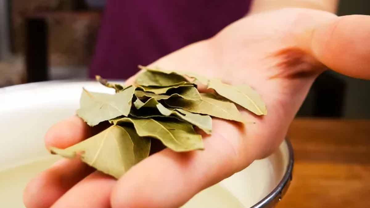 Les feuilles de laurier dans le lave-linge pour enlever les taches et raviver les couleurs on vous dévoile une astuce de grand-mère