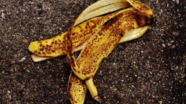 Ne jetez plus vos peaux de banane il est possible d’utiliser cet ingrédient en cuisine