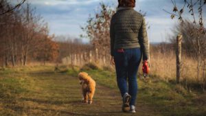 Perdre de poids voici la bonne pratique de la marche pour atteindre son objectif