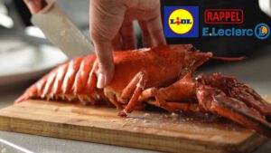 Rappel produit  ce homard et ces langoustines vendus chez Leclerc et LIDL ne doivent pas être consommés, ils sont contaminés !