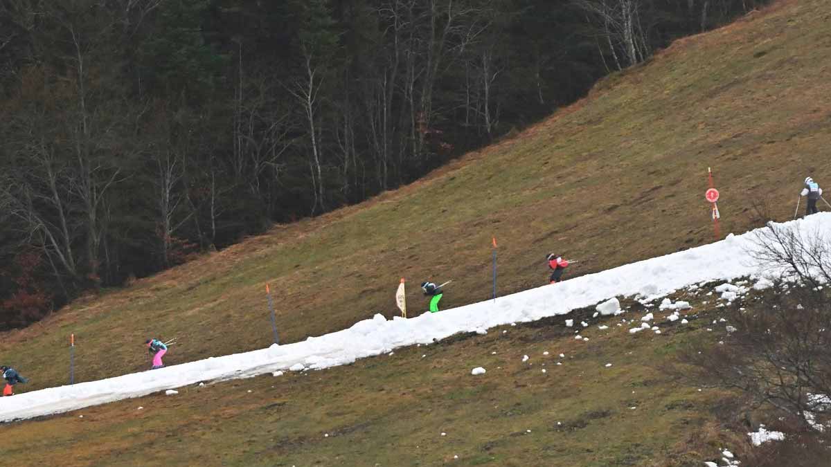 Réchauffement climatique la chaleur et la pluie ont engendré la fermeture de la moitié de