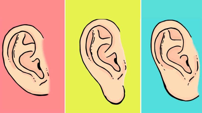 Test de personnalité la forme de votre lobe d'oreille en dévoile plus sur vous