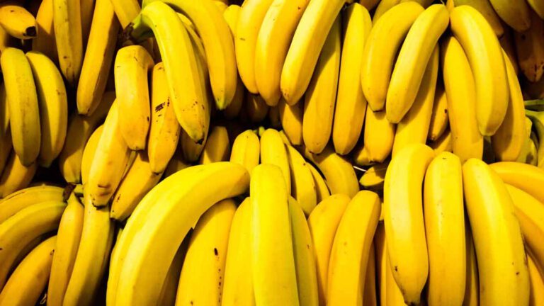 Banane : Découvrez tous les bienfaits de ce fruit très apprécié sur la santé