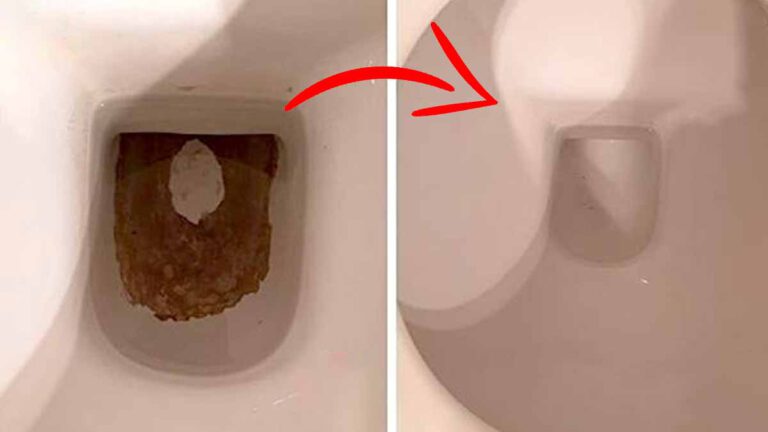 Ces 2 ingrédients magique permet d'éliminer les taches marrons et blanchir les toilettes pendant des mois