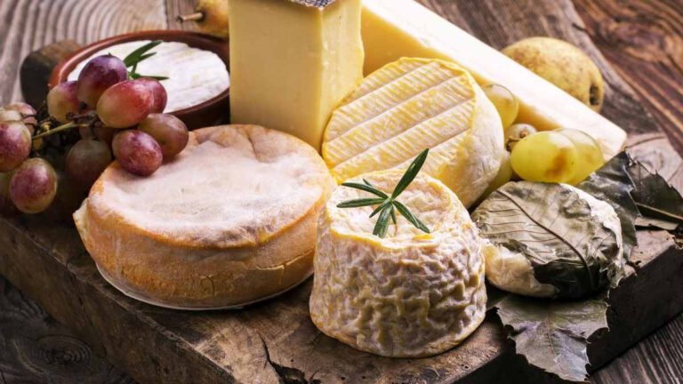 Cholestérol pour le réveillon du nouvel an, le fromage faible en gras est privilégié.