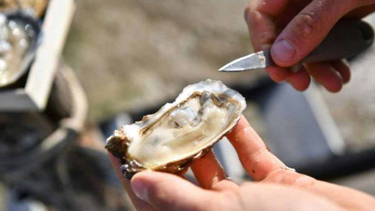 Rappel Conso des huîtres font partie des produits contaminées, ils étaient vendus dans 8 supermarchés