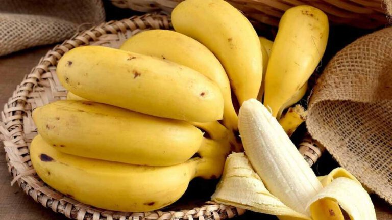 Sans le savoir, toutes les bananes que nous mangeons sont radioactives, sont-elles mortelles