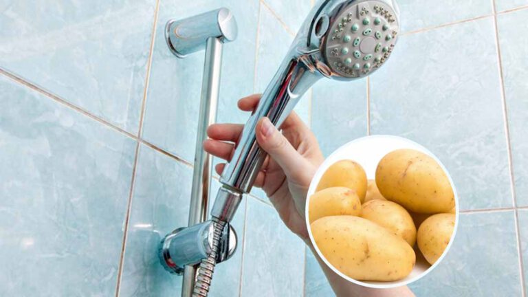 Comment nettoyer toute la douche avec une pomme de terre et la rendre étincelante