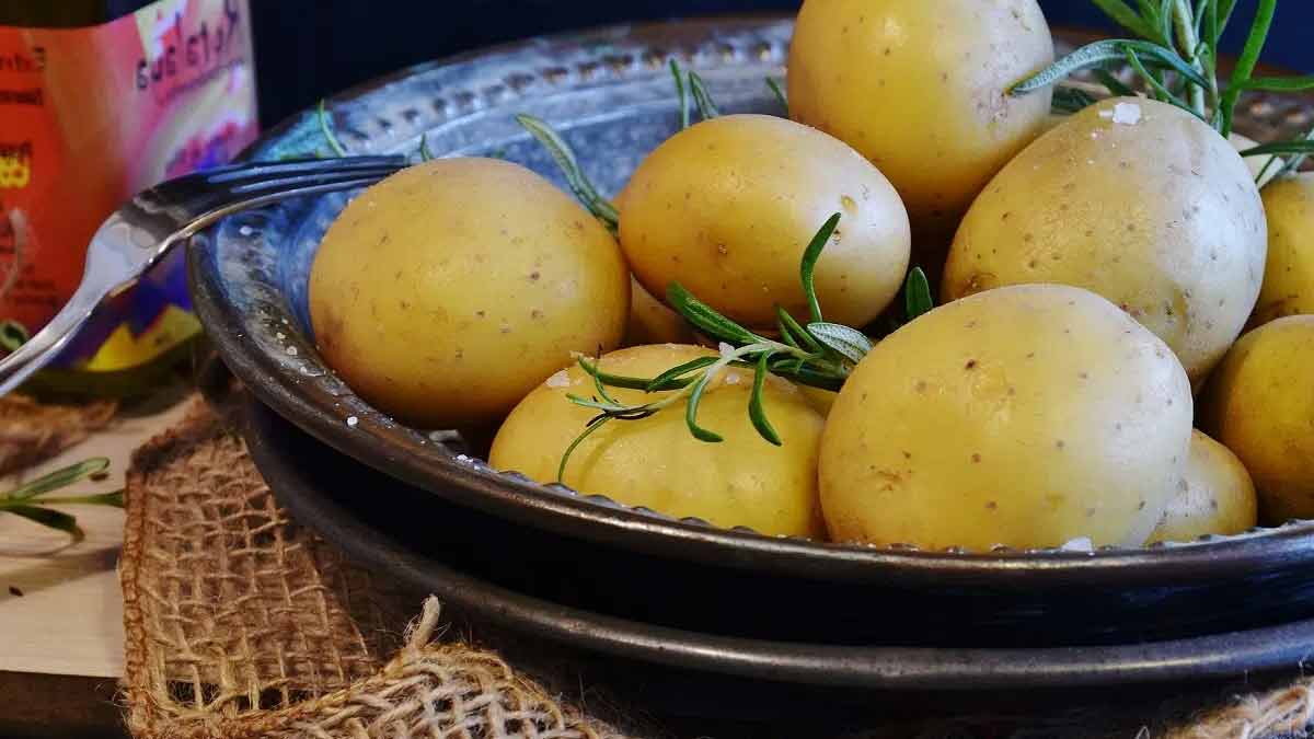 Découvrez tous les bienfaits des pommes de terre en cette période hivernale pour rester en bonne santé !