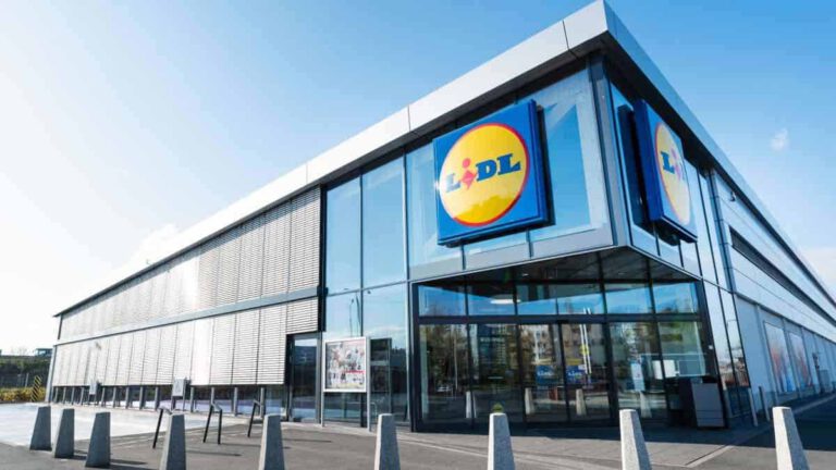 Lidl cartonne avec ces paniers à linge très jolis et ultra-pratiques à moins de 8 euros !