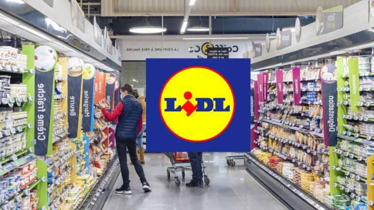 Lidl ou Aldi Découvrez quel est le supermarché discount le moins cher en 2023