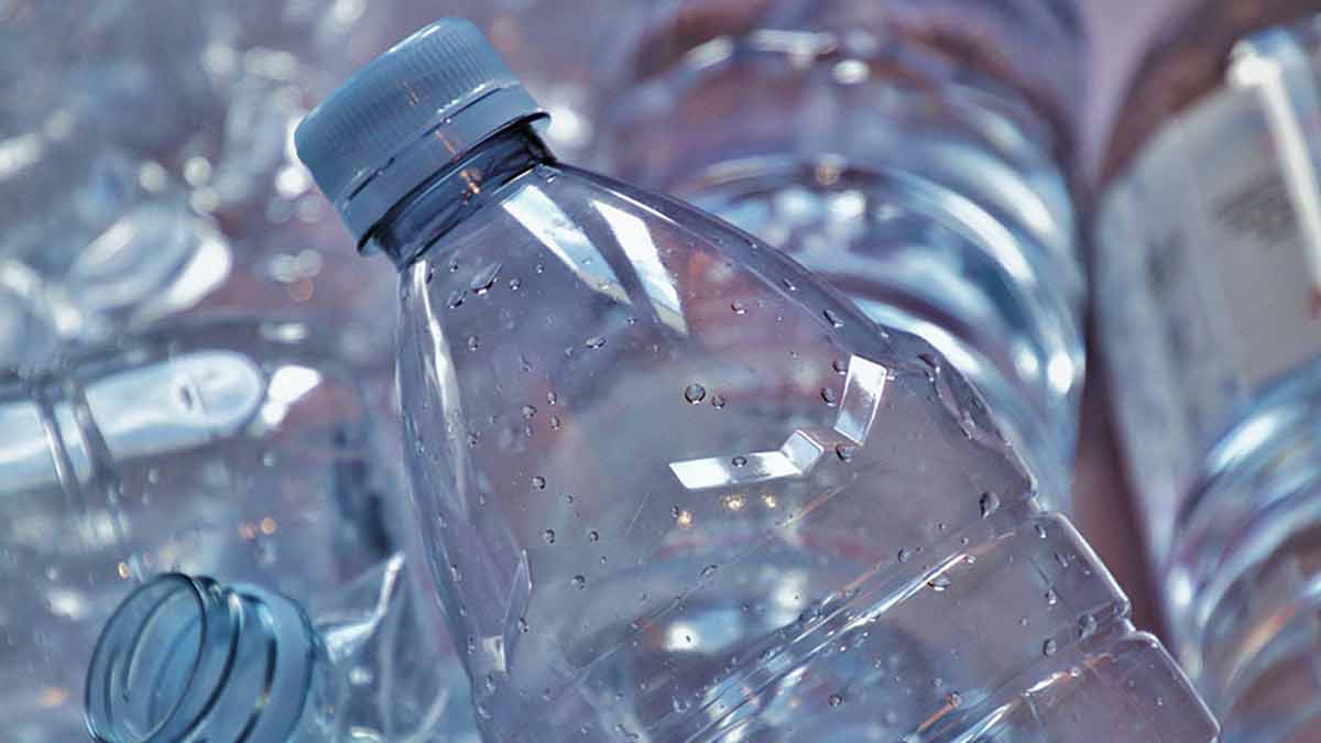 Polyester biodégradable : découvrez ce nouveau plastique plus solide et recyclable… mieux pour l’environnement